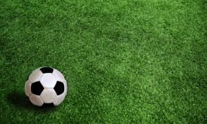 美洲杯让球网福利（美洲杯让球网福利）